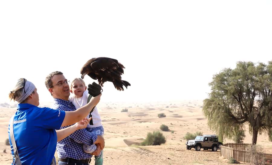 Dubai: Private Falconry Safari - The 1.5-Hour Falconry Experience: Gloved Fist Interaction You Can Feel