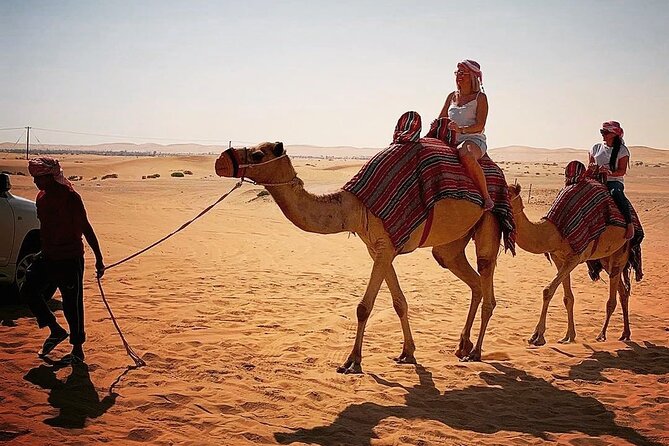 Dubai Private Morning Desert Safari with Camel Ride - Inside the desert 4WD: dune bashing with a pro behind the wheel