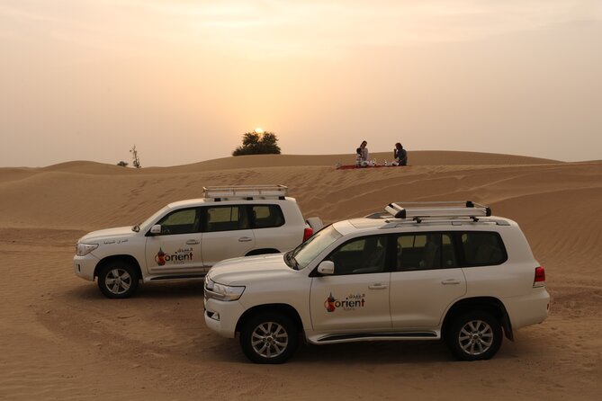 Dubai Private Premium Desert Safari with BBQ Dinner in 4WD - The dune bash in a 4WD: thrilling, but worth booking with a steady driver