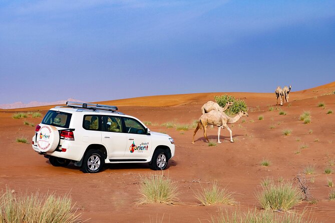 Dubai Private Premium Desert Safari with BBQ Dinner in 4WD - Quad bikes at the camp: fun add-on, but don’t let timing bite you