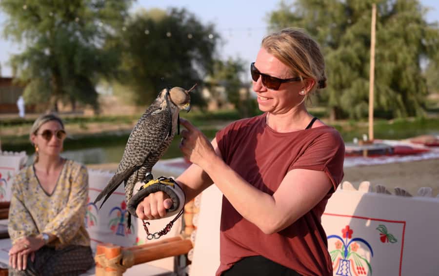 Dubai: Quad Bike Safari, Camels & Al Khayma Camp BBQ Dinner - The BBQ Dinner and Shows: Fire, Yola, Horse, and Falconry