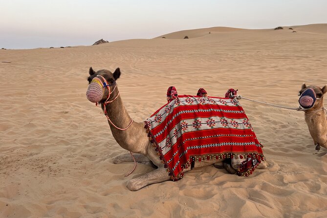 Dubai Red Desert Safari on Private 4x4, Sand Boarding, Camel 4hrs - Timing, Heat, and Comfort for a 4-Hour Trip