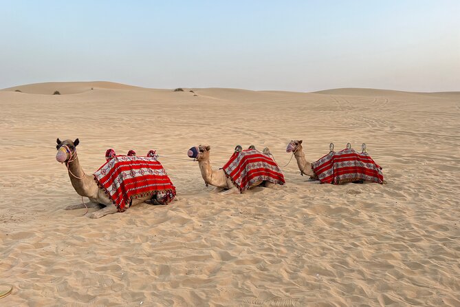 Dubai Red Desert Safari on Private 4x4, Sand Boarding, Camel 4hrs - FAQ