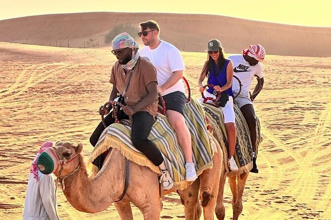 Dubai Red Desert Safari sharing basis with Camel, Shows & Dinner - Why a red desert safari works so well as a Dubai break