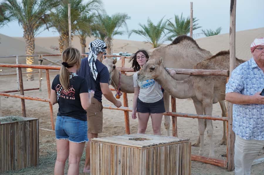 Dubai: Red Dune Desert Safari, Quad Bike, Camels, and BBQ - Camp culture: falcons, henna, shisha, and the show schedule