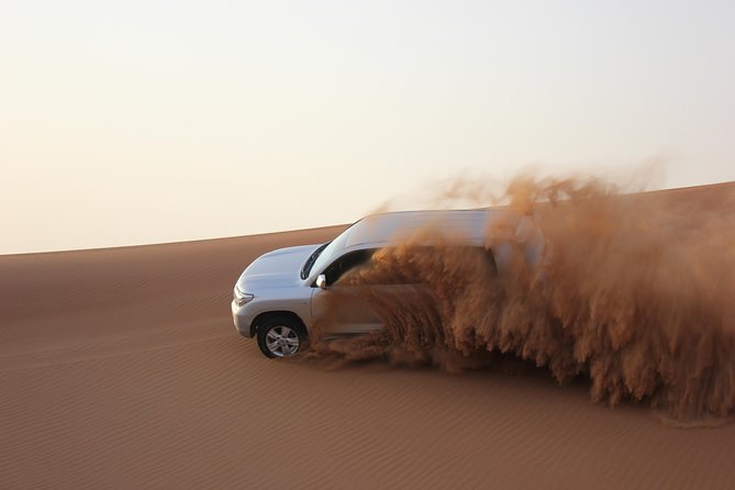 Dubai Red Dune Extreme Desert Safari Adventure With Sand Boarding - Getting the Most From Your Guide and the Desert Moment