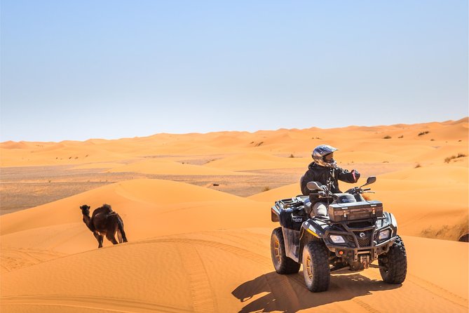 Dubai Red Dune Safari, ATV Quadbiking 10 mins, BBQ, shows - BBQ Dinner With Vegetarian Options and a Full Program Flow
