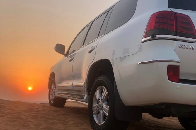 Dubai Red Dunes Afternoon Desert Safari with Camel Ride - Key Things to Know Before You Go