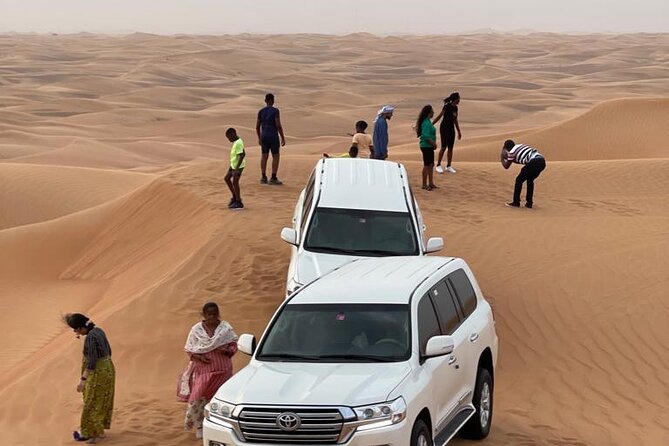 Dubai Red Dunes Afternoon Desert Safari with Camel Ride - Best Fit: Who Should Book This Safari?