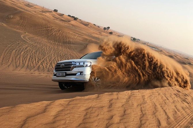 Dubai Red Dunes Desert Safari : Sandboarding, BBQ & Live Shows - Key Highlights You’ll Actually Care About