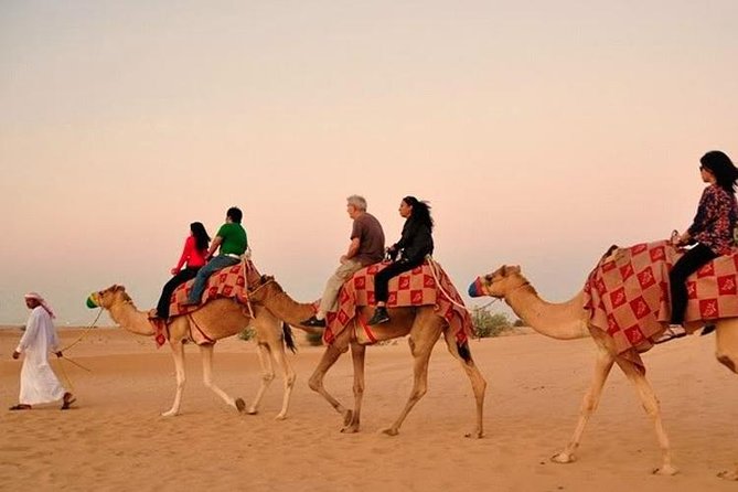 Dubai Red Dunes Desert Safari : Sandboarding, BBQ & Live Shows - Who This Safari Fits Best (and Who Might Prefer Something Else)