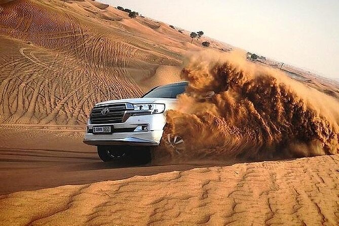 Dubai Red Dunes Desert Safari, With BBQ, Camel Ride, Sand Boarding And Much More - BBQ buffet dinner plus belly dance, Tanura, and fire show
