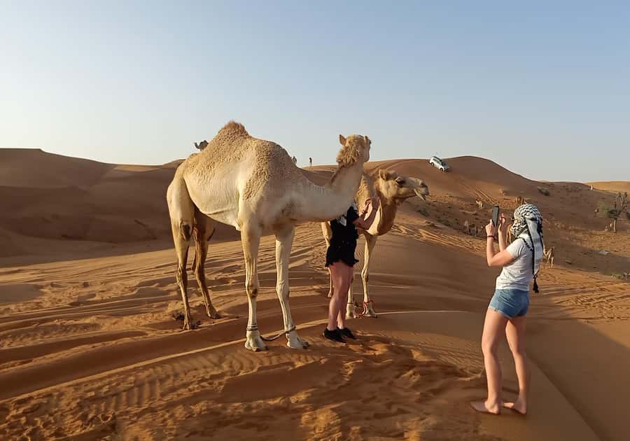 Dubai: Red Dunes Desert Safari with Premium Camp BBQ & Shows - From Dubai to Lahbab Red Dunes: Pickup and the 7-Hour Flow