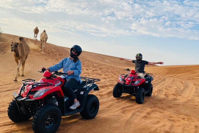 Dubai Red Dunes Safari, ATV, Camel ride, BBQ at Desert Camp - Who This Tour Fits (and Who Should Skip It)