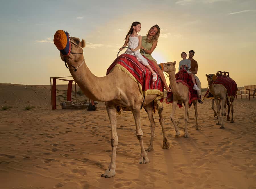 Dubai’s Best Desert Safari: Live Show & Gourmet BBQ Dinner - From hotel pickup to Lahbab dunes: where the day starts