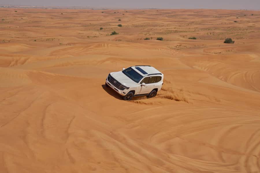 Dubai’s Best Desert Safari: Live Show & Gourmet BBQ Dinner - The “gourmet” part: BBQ dinner, buffet style, and vegetarian options