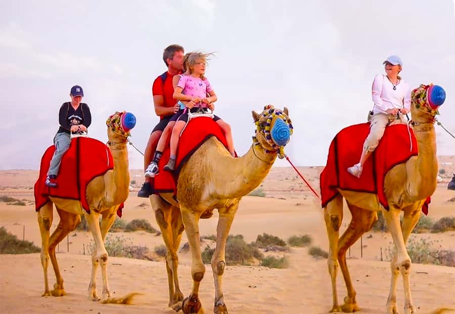 Dubai: Safari, Quad Bike, Camel Ride, and Buffet Dinner - Key Things I’d Put at the Top of Your List