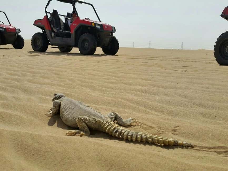 Dubai: Self-Drive Dune Buggy Safari with Pickup and Drop-Off - Entering the Dubai desert in an 800cc buggy