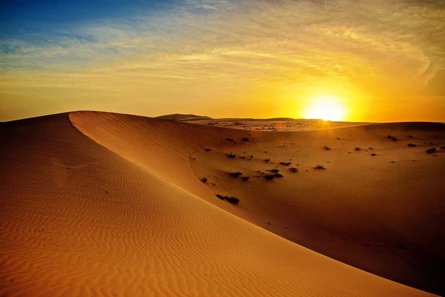 Dubai: Sunrise Desert Jeep Safari with Wildlife Experience - Sunrise Desert Jeep Safari in Dubai: What This Morning Really Delivers