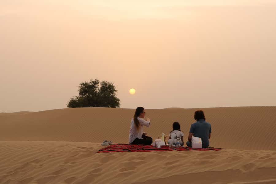 Dubai: Sunrise Desert Jeep Safari with Wildlife Experience - Who Should Book, and Who Should Skip This One