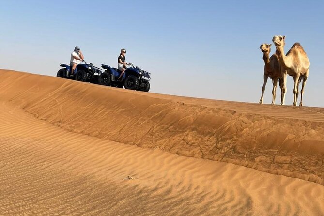 Dubai: Unique MORNING 4WD Red Dunes Safari incl. 30min Quad Bike - Sandboarding on real dunes: fun, not just a photo stop