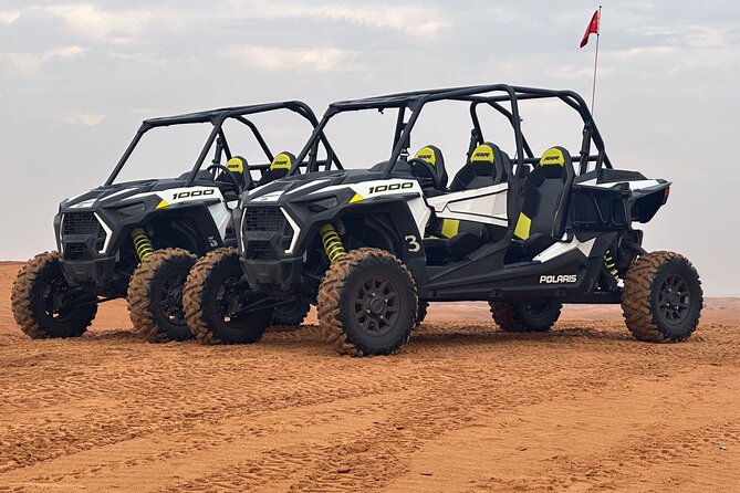 Dubai VIP Desert Safari & Sunset , Camel Ride, Premium dinner - Camp Arrival: Arabic Tea, Sweets, Sheesha, and a VIP Feel
