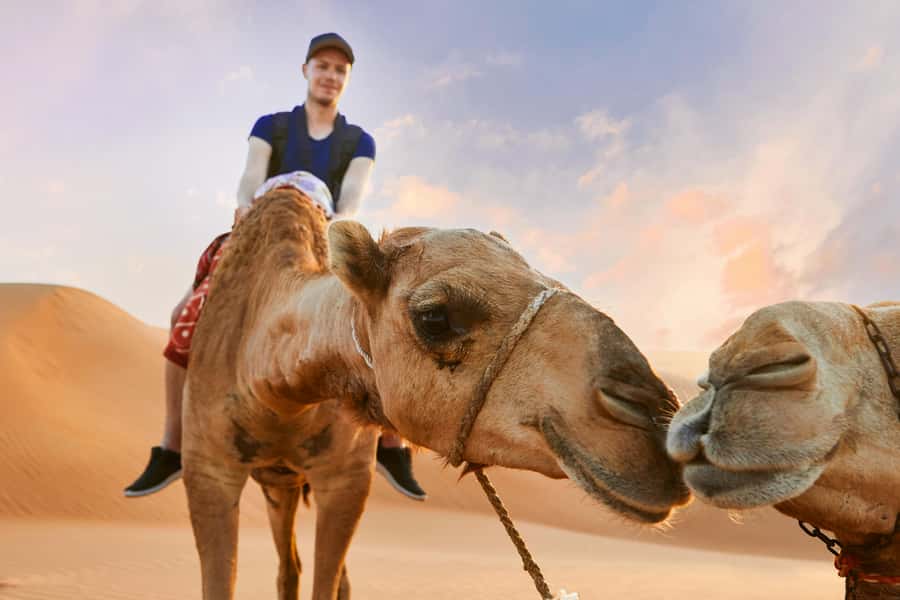 Dubai Waves & Dunes: Luxury Yacht Cruise w/ Red Dunes Safari - The Yacht Cruise: Shared Luxury With Real Dubai Landmarks