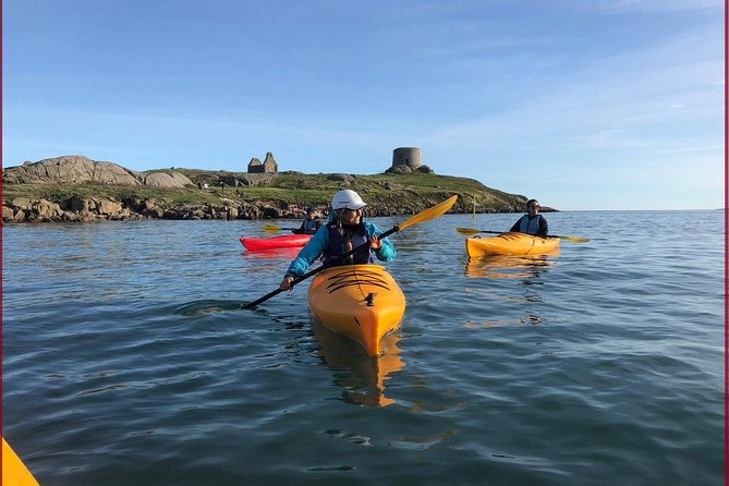 Dublin Bay Seal Kayaking Safari at Dalkey - Key Points You’ll Care About