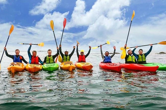 Dublin Bay Seal Kayaking Safari at Dalkey - Weather-Driven Route Changes and What That Means for You