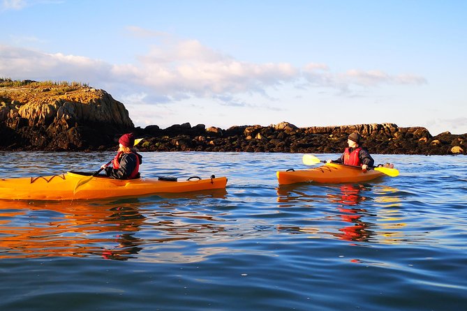 Dublin Bay Seal Kayaking Safari at Dalkey - Price and Value: What $143.97 Includes and Why It Adds Up