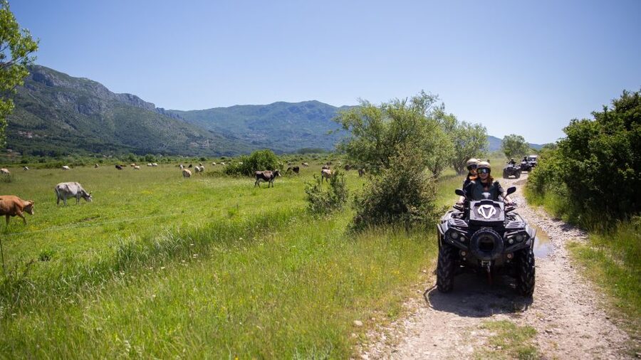 Dubrovnik: Kojan Koral ATV Quad Safari with transport - Should you book Kojan Koral with transport?