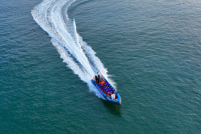 Dunmore East Sea Safari to Hook Lighthouse - Meeting at Dunmore East: timing, tickets, and getting oriented fast