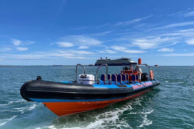 Dunmore East Sea Safari to Hook Lighthouse - Best for who: families, history-minded folks, and adrenaline fans
