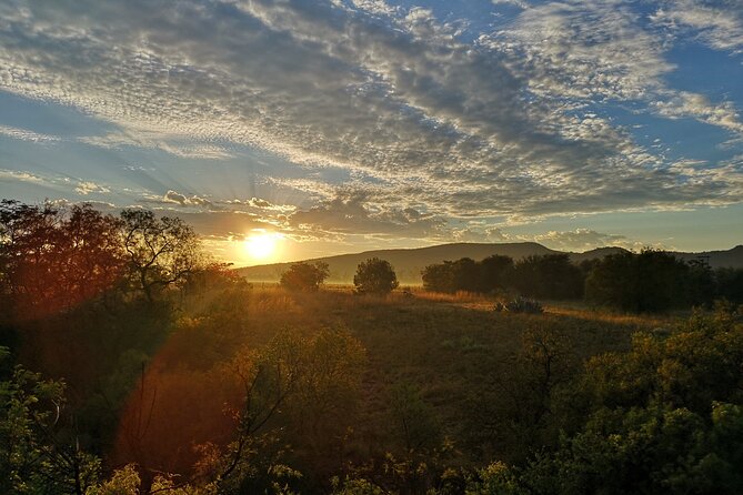 Early Morning Balloon Safari with Breakfast from Magaliesburg - Landing and the celebration vibe: breakfast and sparkling wine