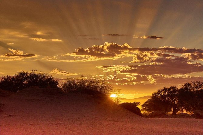Early Morning Desert Safari With Camel Trekking Experience - Key highlights worth getting excited about