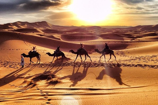 Early Morning Desert Safari With Camel Trekking Experience - Guides and Drivers: Why the Experience Feels Personal