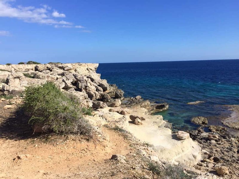 East Coast National Park: Half-Day Caves Jeep Safari - Who should book this East Coast Jeep Safari
