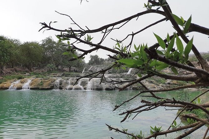 East Salalah Mountain Safari - The East Salalah route in 5–6 hours, starting at 9:00 am