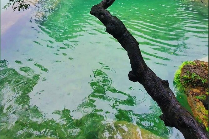 East Salalah Mountain Safari - Taqah Beach plus a real view point payoff