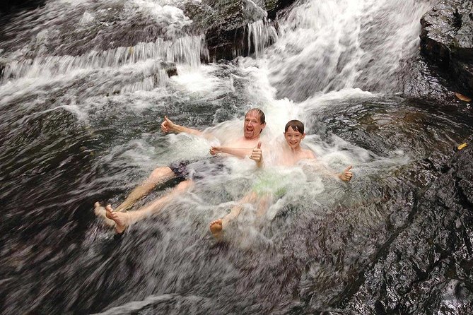 Ebano Waterfalls and Rainforest Safari Tour - Key highlights you’ll feel right away