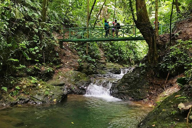 Ebano Waterfalls and Rainforest Safari Tour - Hacienda Ébano meeting point and what a 4-hour morning really means