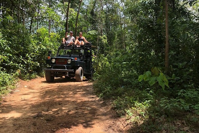 Eco Jungle Safari Tour around Koh Samui Including Lunch - Price and value at $66.66: what you’re really paying for