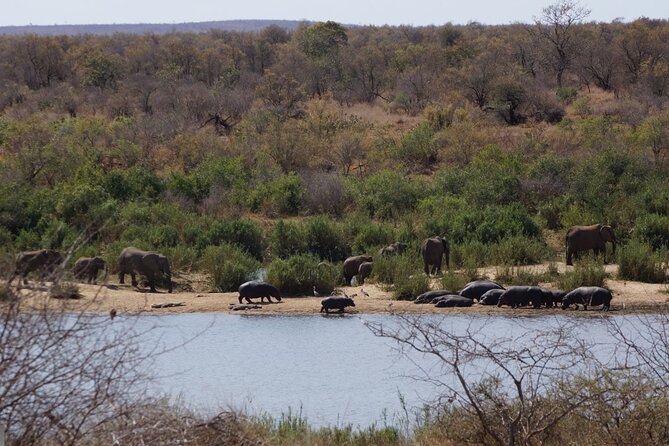 Economic 1-Day Kruger Safari from Maputo - What this Kruger day trip is really about