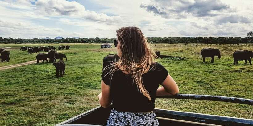 Ella: Shuttle to Mirissa/Galle/Hikkaduwa & Udawalawa Safari - In the park: what you’re likely to spot from the open jeep