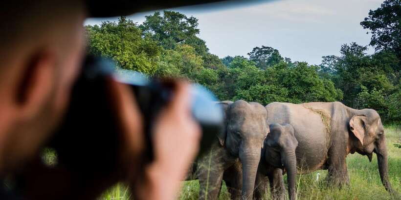 Ella: Shuttle to Mirissa/Galle/Hikkaduwa & Udawalawa Safari - Ride comfort: air-conditioned transfer meets bumpy jeep roads