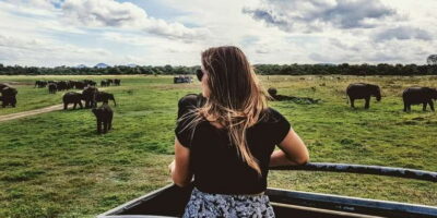 Ella: Shuttle to Tangalle/Mirissa/Galle & Udawalawa Safari - Udawalawe safari: open-jeep viewing and what you’ll actually look for