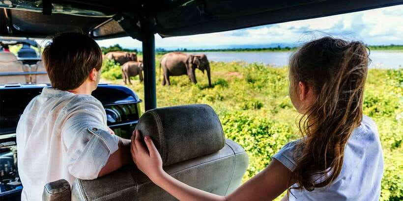 Ella: Shuttle to Tangalle/Mirissa/Galle w Udawalawe Safari - Wildlife You Can Plan to See: Elephants and More