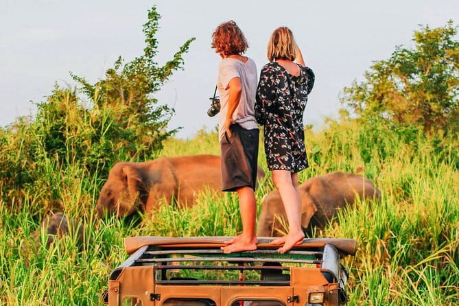 Ella to Mirissa Shuttle & Udawalawe Safari Drive with Breakfast - Key highlights you’ll care about