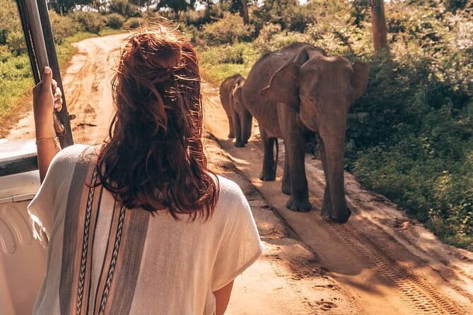 Ella to Mirissa Shuttle & Udawalawe Safari Drive with Breakfast - Ella to Udawalawe: the transfer that flips your scenery