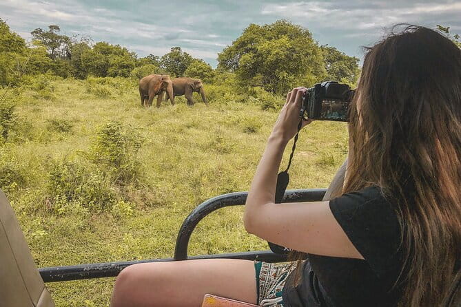 Ella to Mirissa Shuttle & Udawalawe Safari Drive with Breakfast - Breakfast and bottled water: small comfort, smart timing